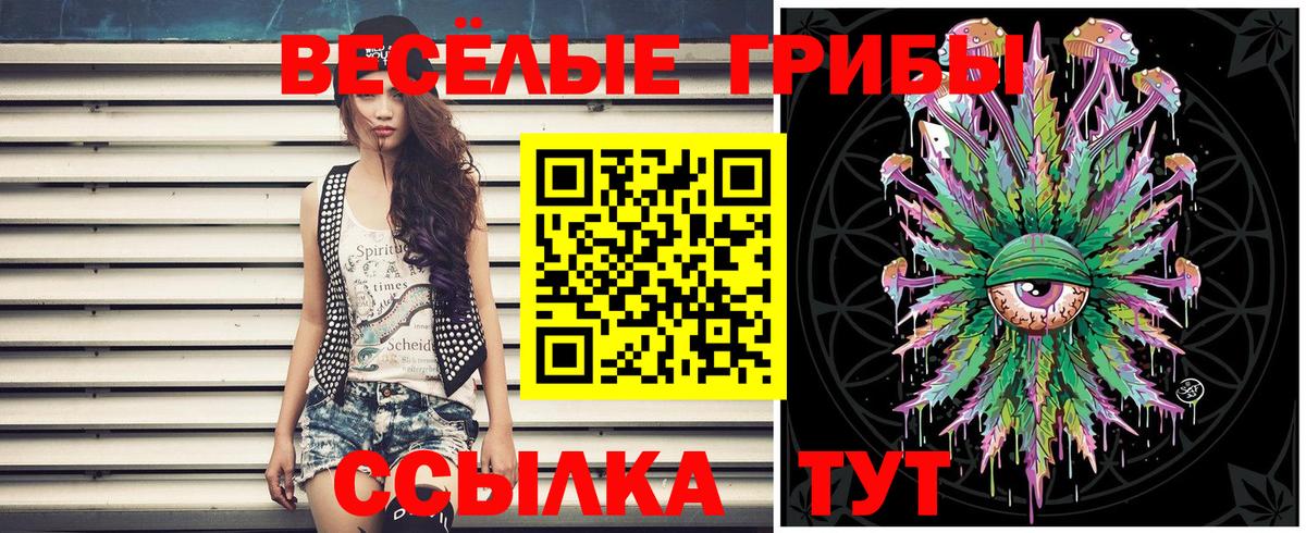 Галлюциногенные грибы GOLDEN TEACHER Благовещенск